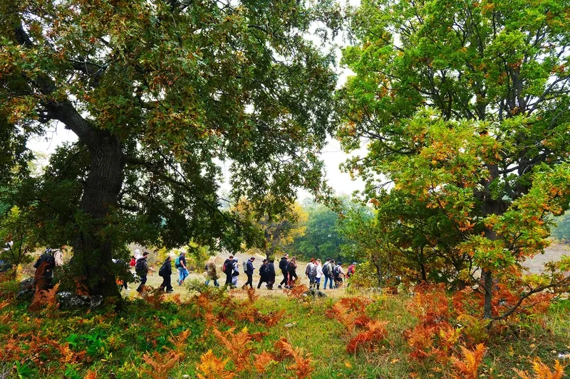 Kılıçkaya Zirvesi