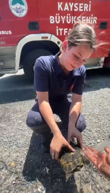 Kayseri İtfaiyesi, Yangında Mahsur Kalan Kaplumbağayı Kurtardı